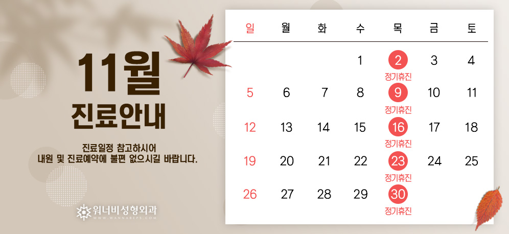 11월 진료안내