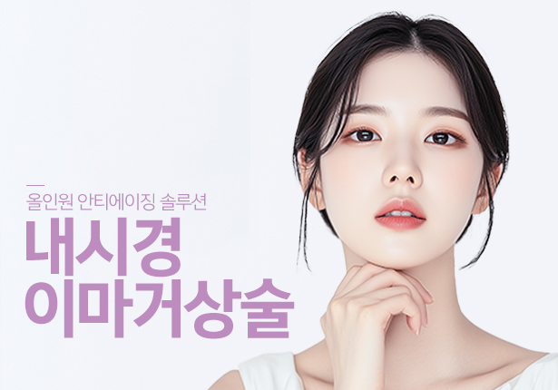내시경 이마거상술