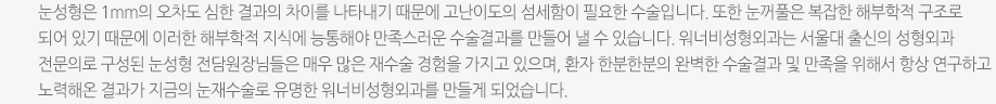 눈성형은 1mm의 오차도 심한 결과의 차이를 나타내기 때문에 고난이도의 섬세함이 필요한 수술입니다. 또한 눈꺼풀은 복잡한 해부학적 구조로 되어 있기 때문에 이러한 해부학적 지식에 능통해야 만족스러운 수술결과를 만들어 낼 수 있습니다. 워너비성형외과는 서울대 출신의 성형외과 전문의로 구성된 눈성형 전담원장님들은 매우 많은 재수술 경험을 가지고 있으며, 환자 한분한분의 완벽한 수술결과 및 만족을 위해서 항상 연구하고 노력해온 결과가 지금의 눈재수술로 유명한 워너비성형외과를 만들게 되었습니다.