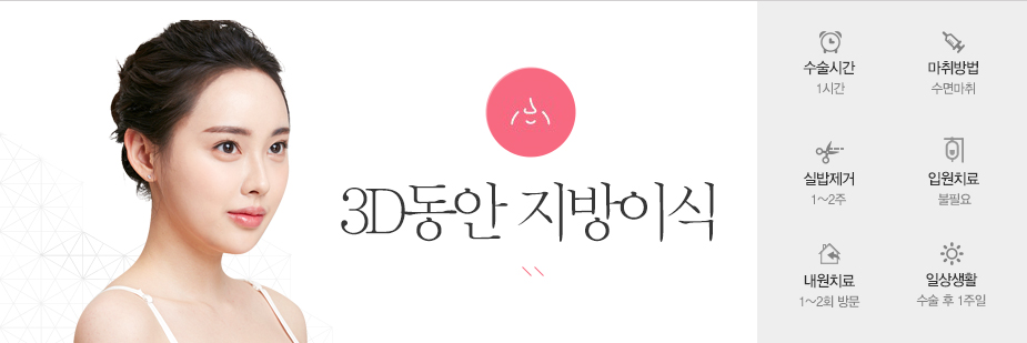 3D동안 지방이식