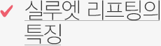 실루엣 리프팅의 특징