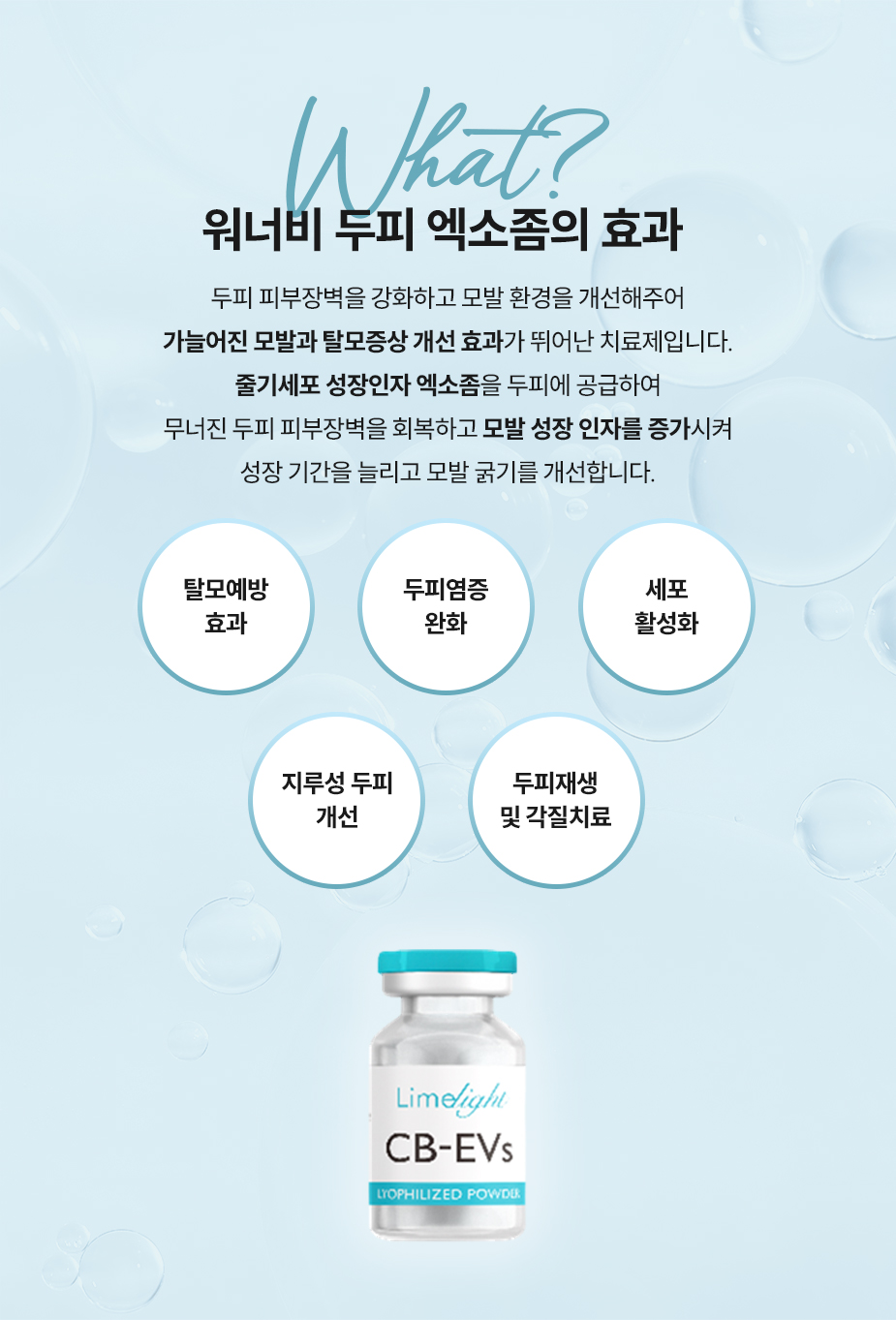 워너비 두피 엑소좀의 효과