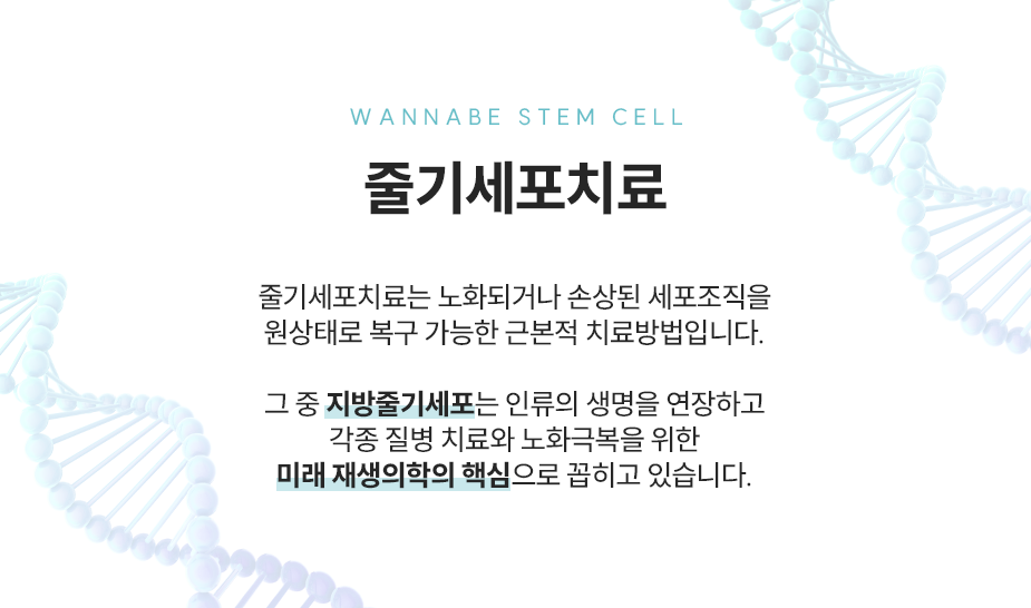 줄기세포치료 - 노화되거나 손상된 세포조직을 원상태로 복구 가능한 근본적 치료방법입니다. 지방줄기세포는 인류의 생명을 연장하고 각종 질병 치료와 노화 극복을 위한 미래 재생의학의 핵심으로 꼽히고 있습니다.