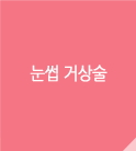 눈썹거상술