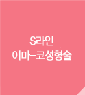 S라인 이마-코성형술