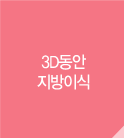 3D동안 지방이식