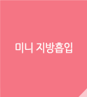 미니 지방흡입